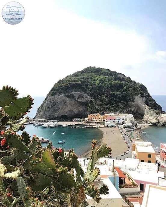 Villa Paradiso Sant'Angelo  Bagian luar foto