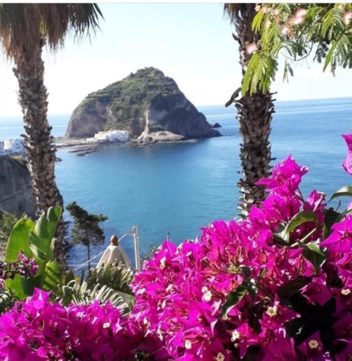 Villa Paradiso Sant'Angelo  Bagian luar foto