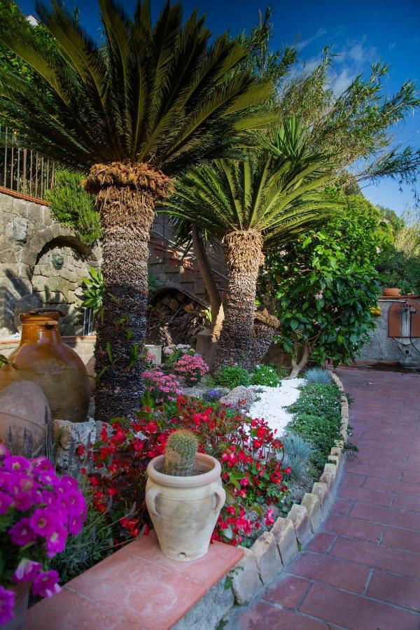 Villa Paradiso Sant'Angelo  Bagian luar foto